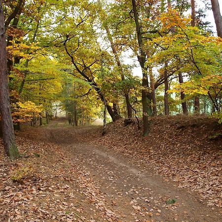 Penzion U Kukacku Горни-Плана Экстерьер фото